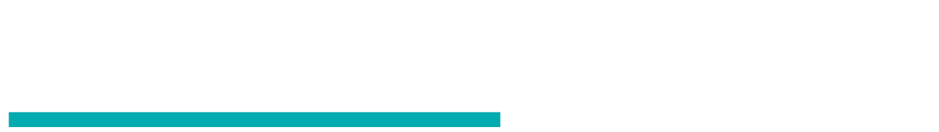 LevelLite Logo
