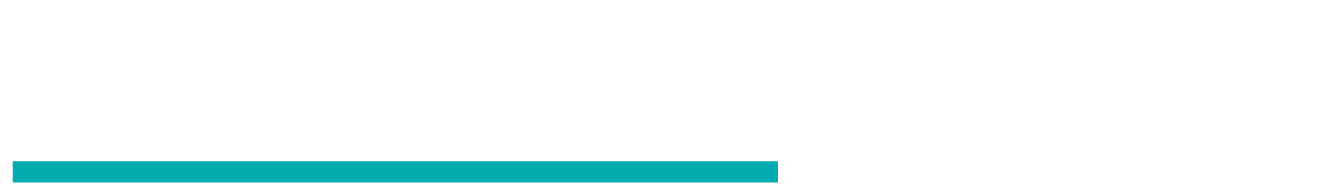LevelSlick logo